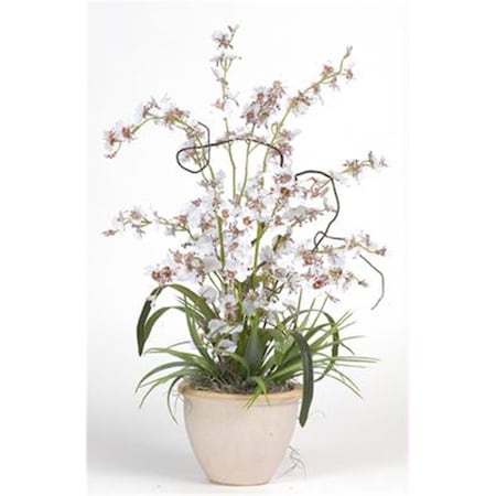 Nearly Natural Dancing Lady Silk Orchid Arrangement 1005-WH